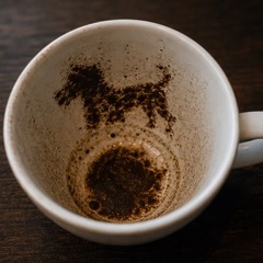 Hund — Kaffee