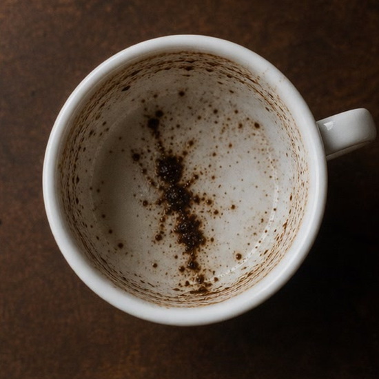 ANT coffee grounds symbol photo variation 1