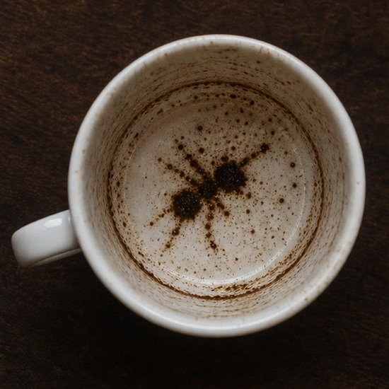 ANT coffee cup symbol photo and tasseography meaning