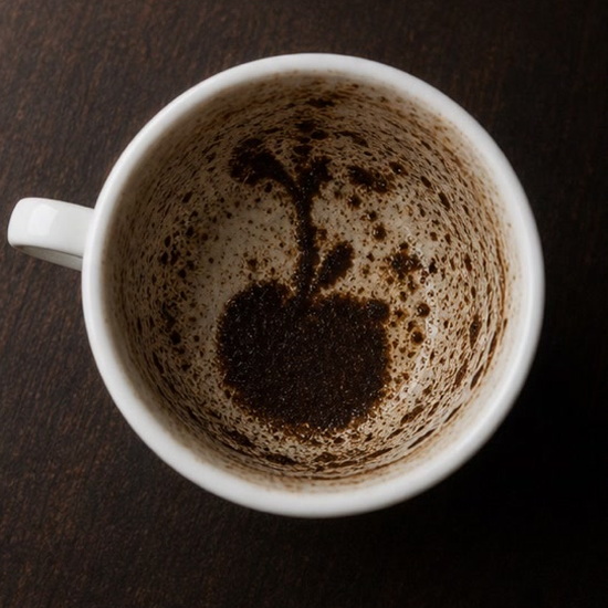 APPLE coffee grounds symbol photo variation 2