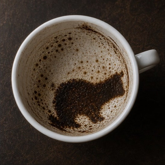 BEAR coffee grounds symbol photo variation 1