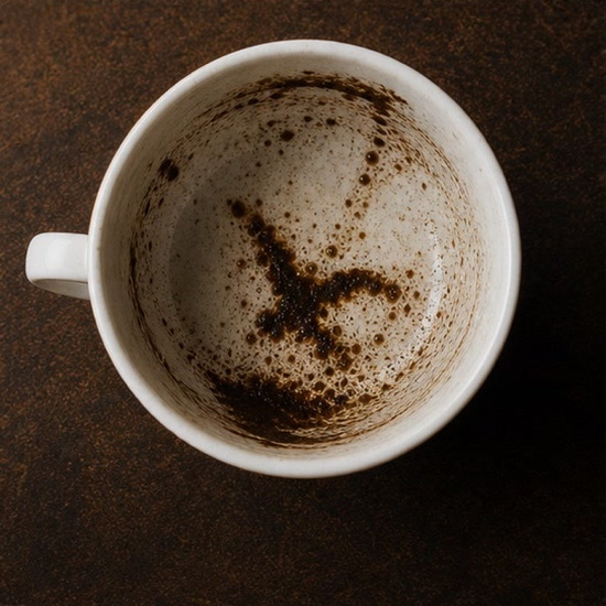 BIRD coffee grounds symbol photo variation 2