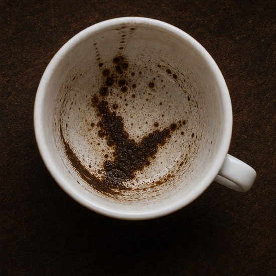 BIRD coffee grounds symbol photo variation 3