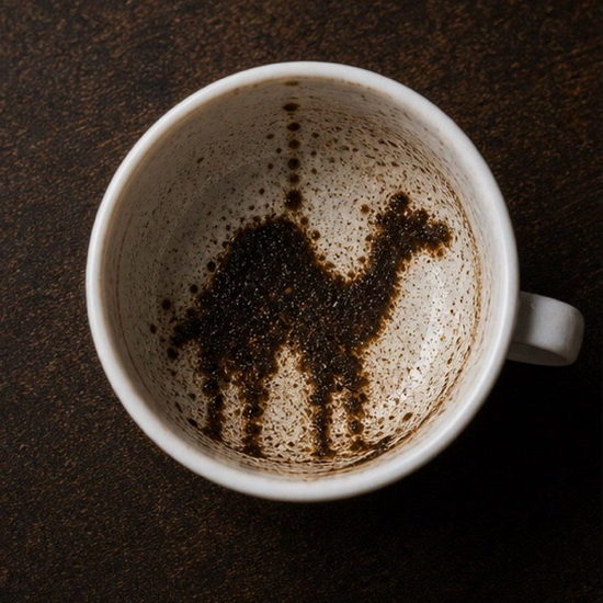 CAMEL coffee cup symbol photo and tasseography meaning