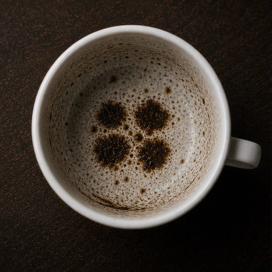 CLOVER (four leaf) coffee cup symbol photo and tasseography meaning