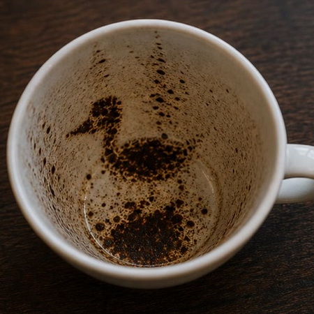 DUCK coffee grounds symbol photo variation 3