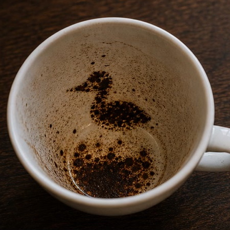 DUCK coffee cup symbol photo and tasseography meaning