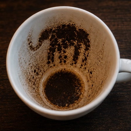 ELEPHANT coffee cup symbol photo and tasseography meaning