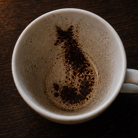FOX coffee grounds symbol photo variation 1