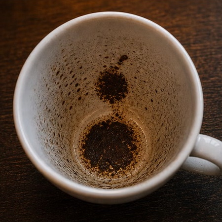FRUIT coffee grounds symbol photo variation 3