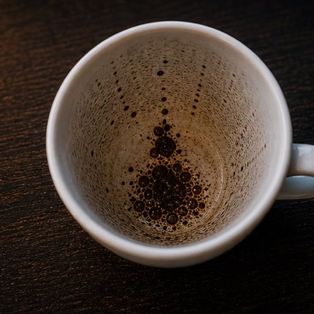 INSECT coffee grounds symbol photo variation 1