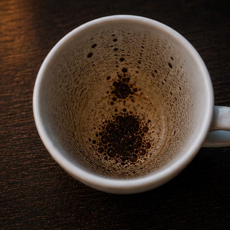 INSECT coffee grounds symbol photo variation 3