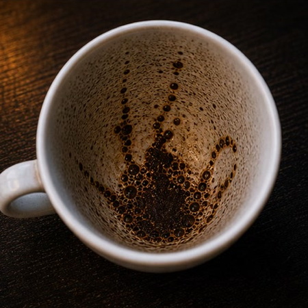 OCTOPUS coffee grounds symbol photo variation 2