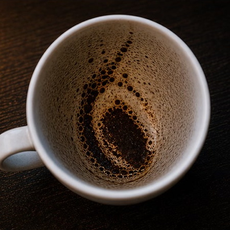 OYSTER coffee grounds symbol photo variation 2