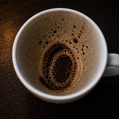 OYSTER coffee cup symbol photo and tasseography meaning