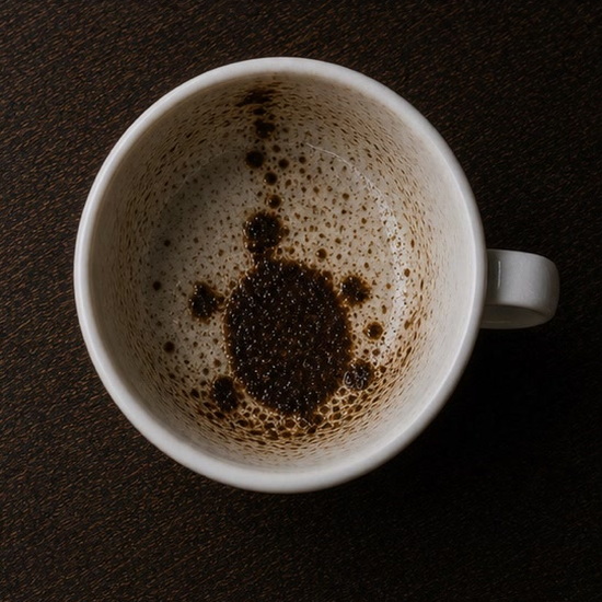 TORTOISE OR TURTLE coffee grounds symbol photo variation 2