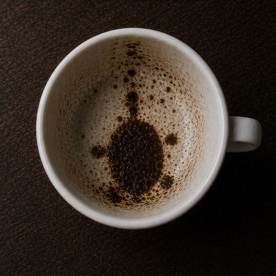 TORTOISE OR TURTLE coffee grounds symbol photo variation 3