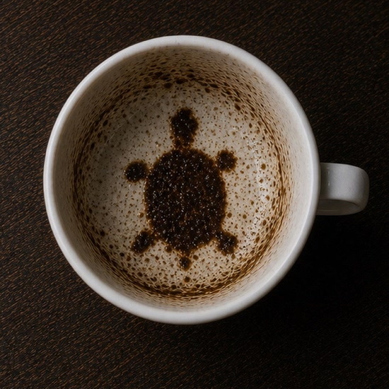 TORTOISE OR TURTLE coffee cup symbol photo and tasseography meaning