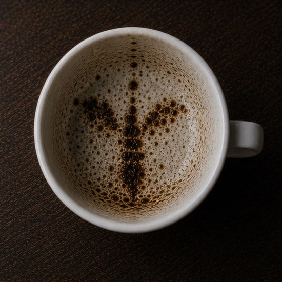 WASP coffee grounds symbol photo variation 2