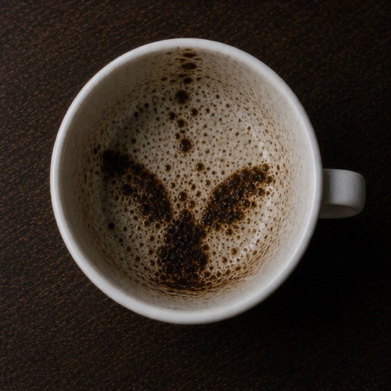 WINGS coffee grounds symbol photo variation 2